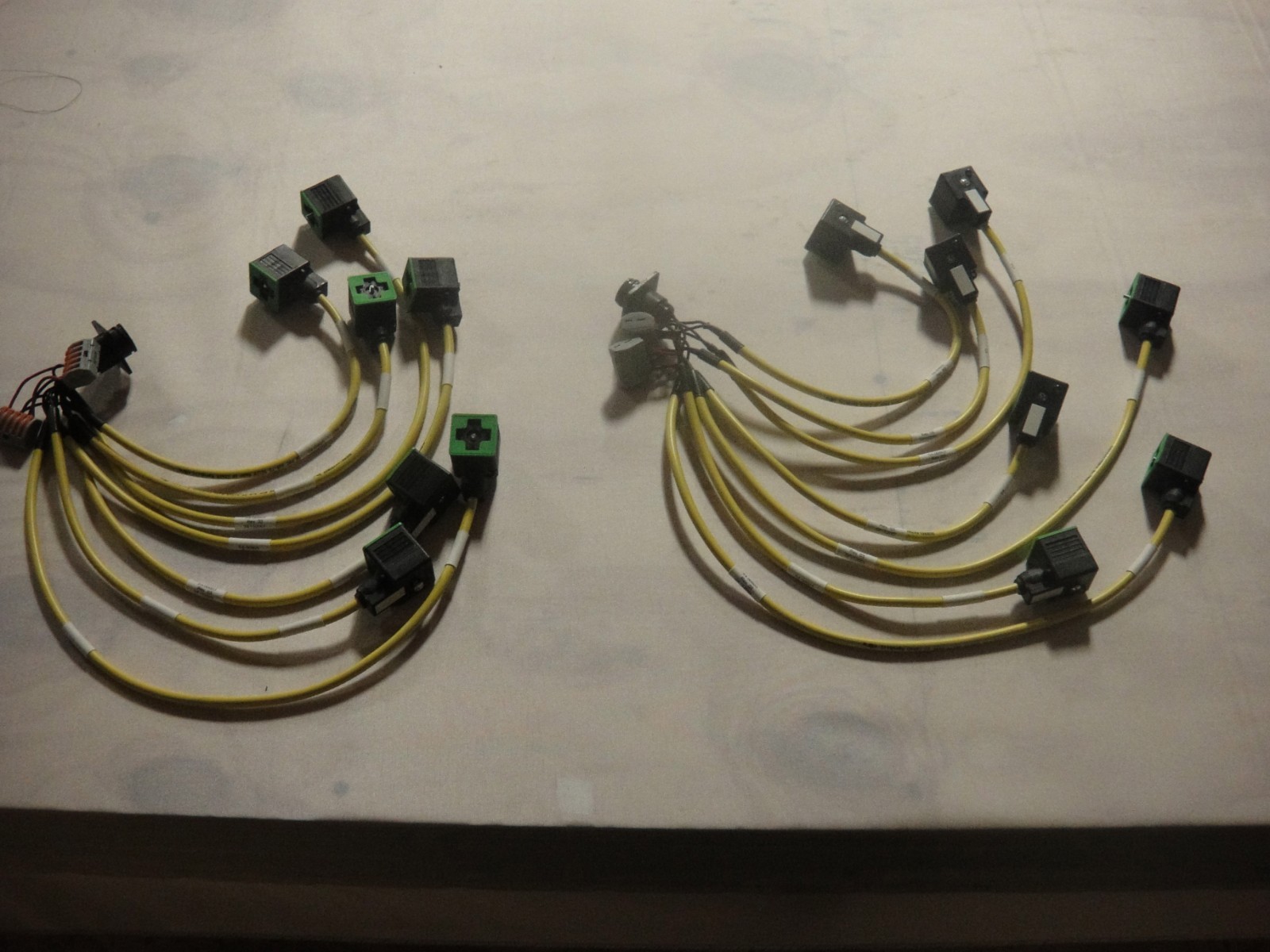 zz LOT OF 2 MURR ELEKTRONIK harnesses as pictured 7000-18021-0160150 pre owned