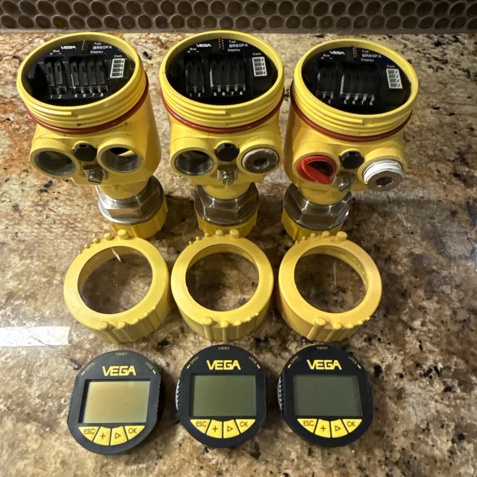 Vega Vegabar 64 Pressure Transmitter BR64.XXGN1APKNAX. Qty.3