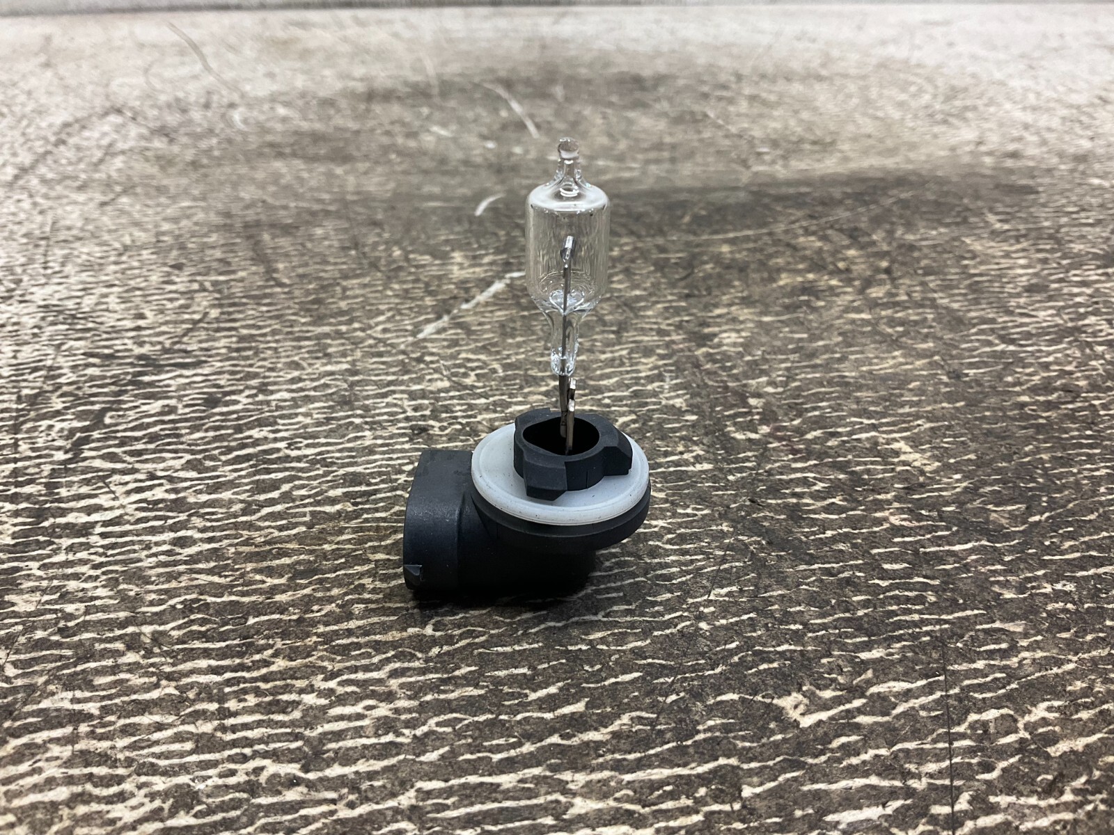 Ezgo Express Cushman Jacobsen 4831181 Halogen Bulb 12 V 37 W 862 New (TSC)