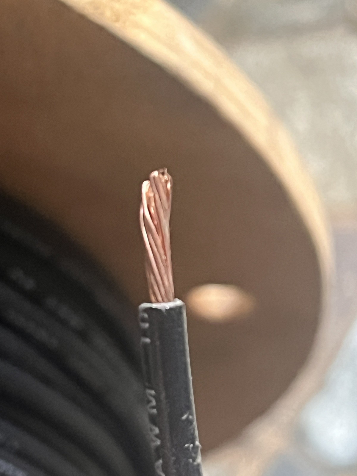 14 AWG 50ft Alpha 461419 Black Stranded Copper Wire