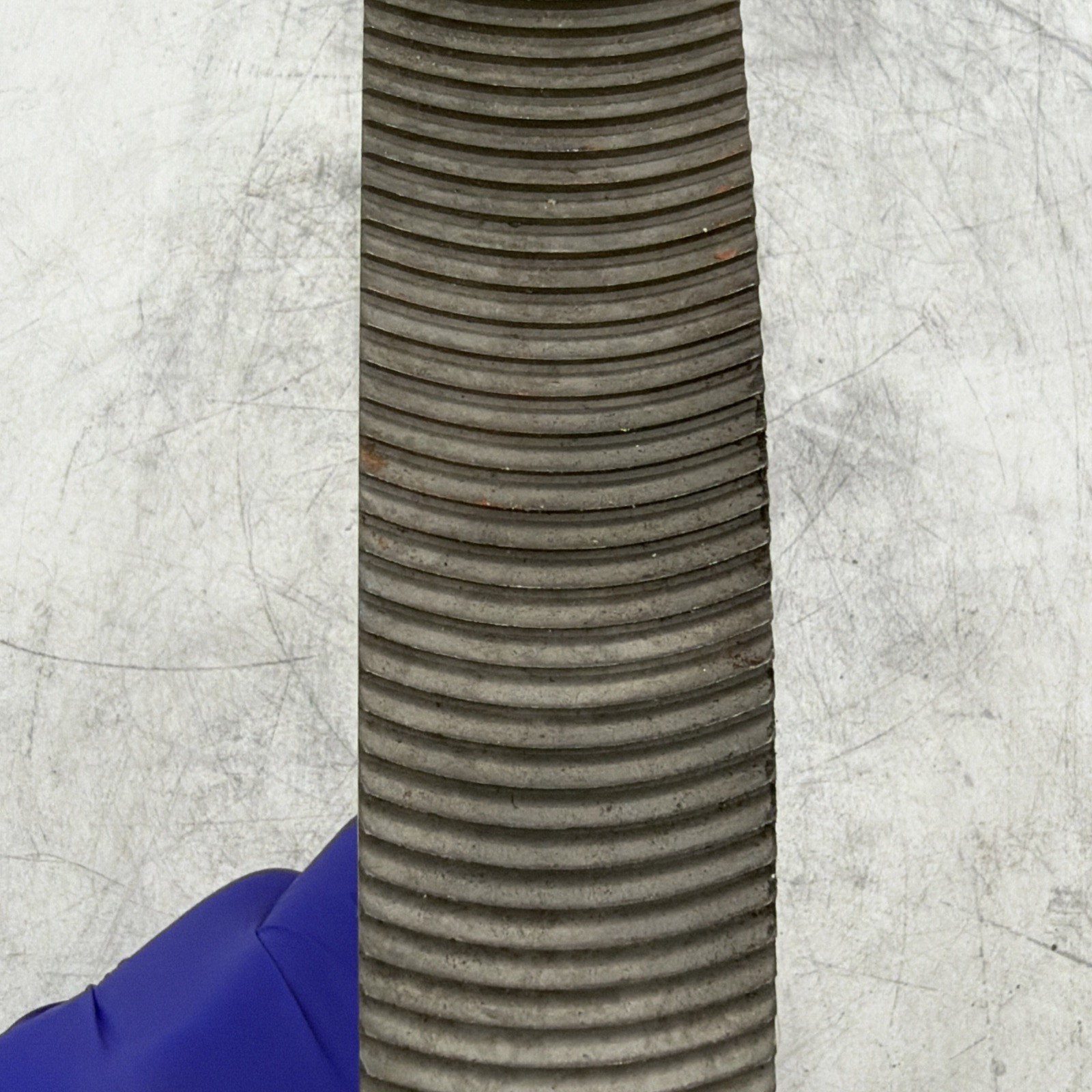 ERICO Cadweld T321 Curved Rasp