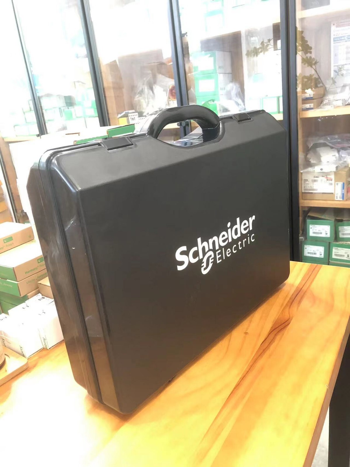 Schneider LV485500 MasterPact NT/NW/Compact NS/PowerPact P-, R-Frame Service Int