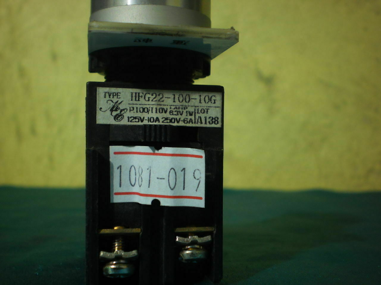 Maruyasu HFG22-100-10G HFG2210010G Push Button
