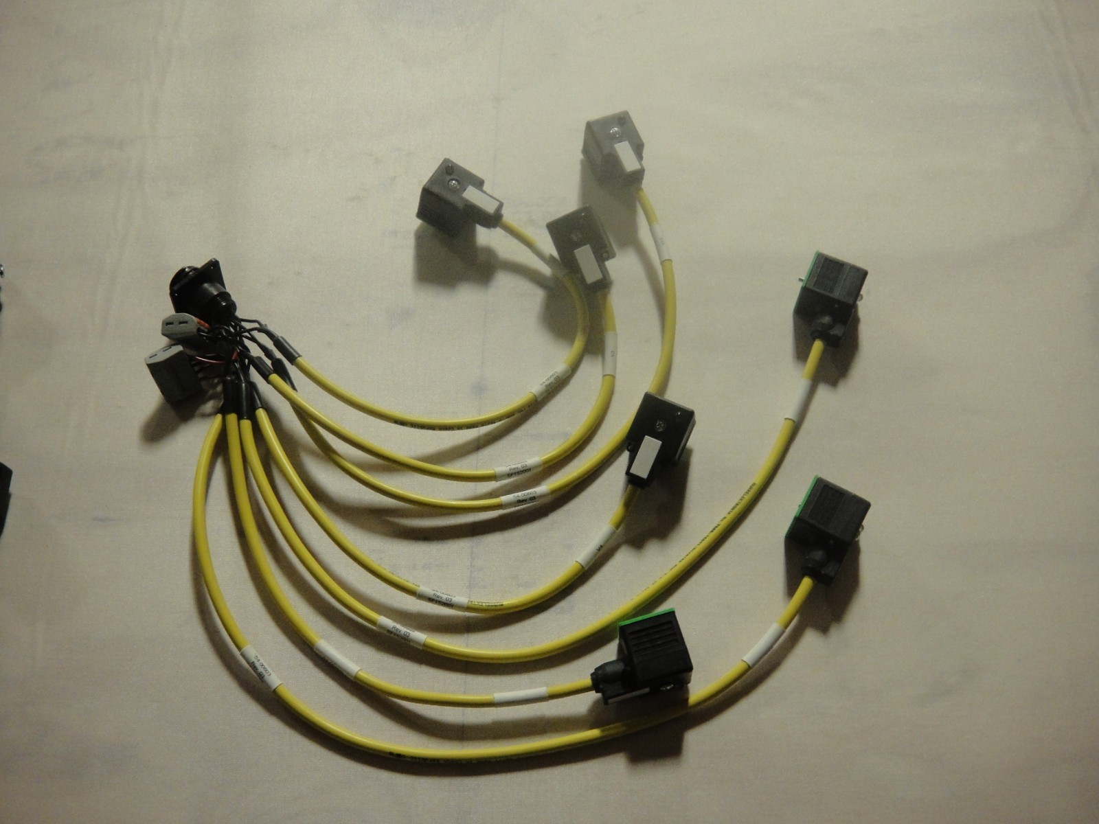 zz LOT OF 2 MURR ELEKTRONIK harnesses as pictured 7000-18021-0160150 pre owned