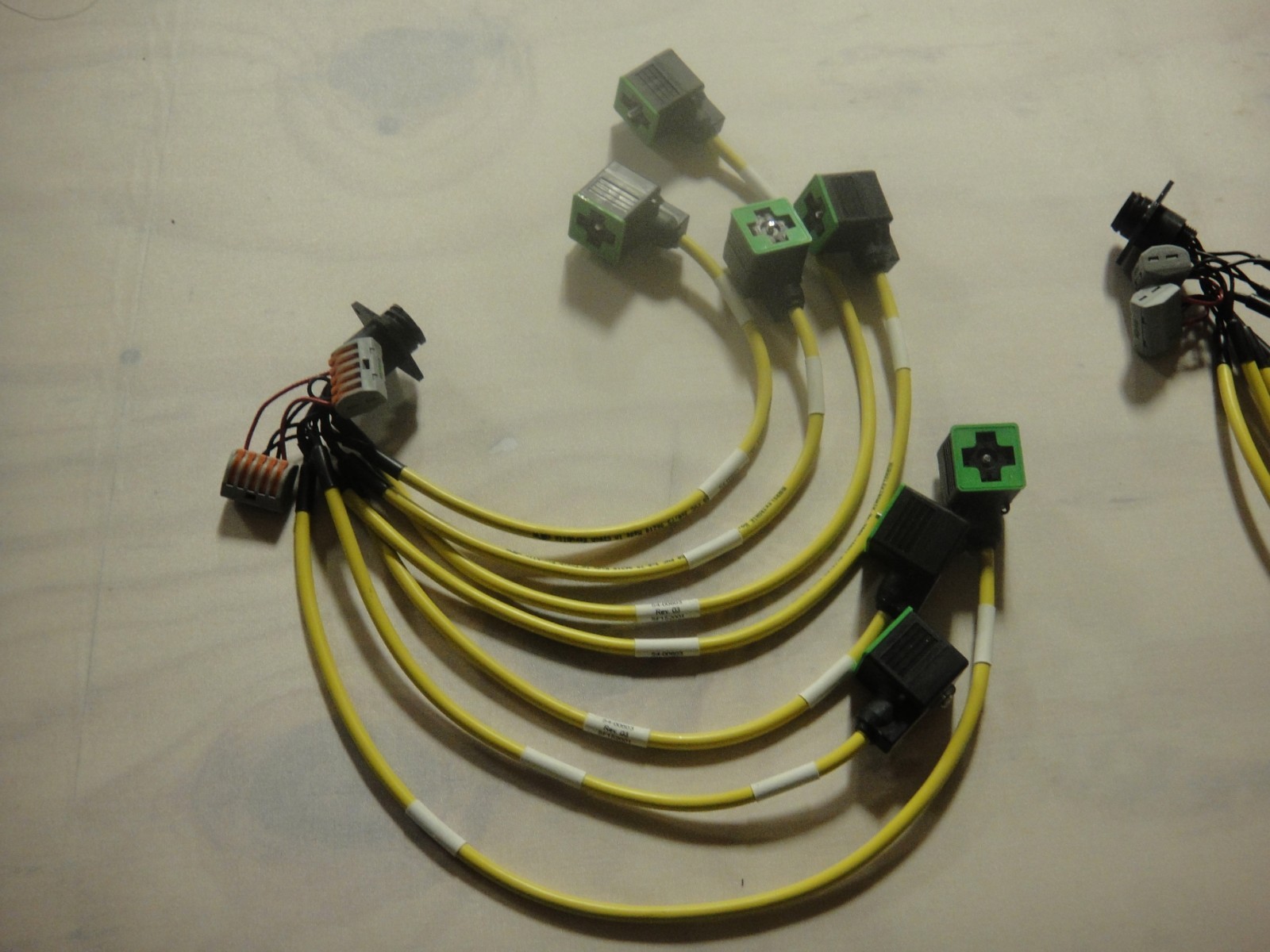 zz LOT OF 2 MURR ELEKTRONIK harnesses as pictured 7000-18021-0160150 pre owned