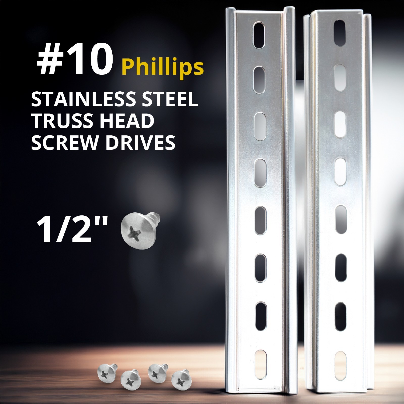 Slotted Aluminum DIN Rail, 35mm x 8”, Silver – 2 Pieces + 4 #10 S.S Screws