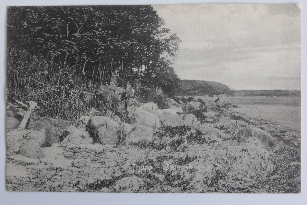 CPA Denmark Thurø Østerskoven (57002)