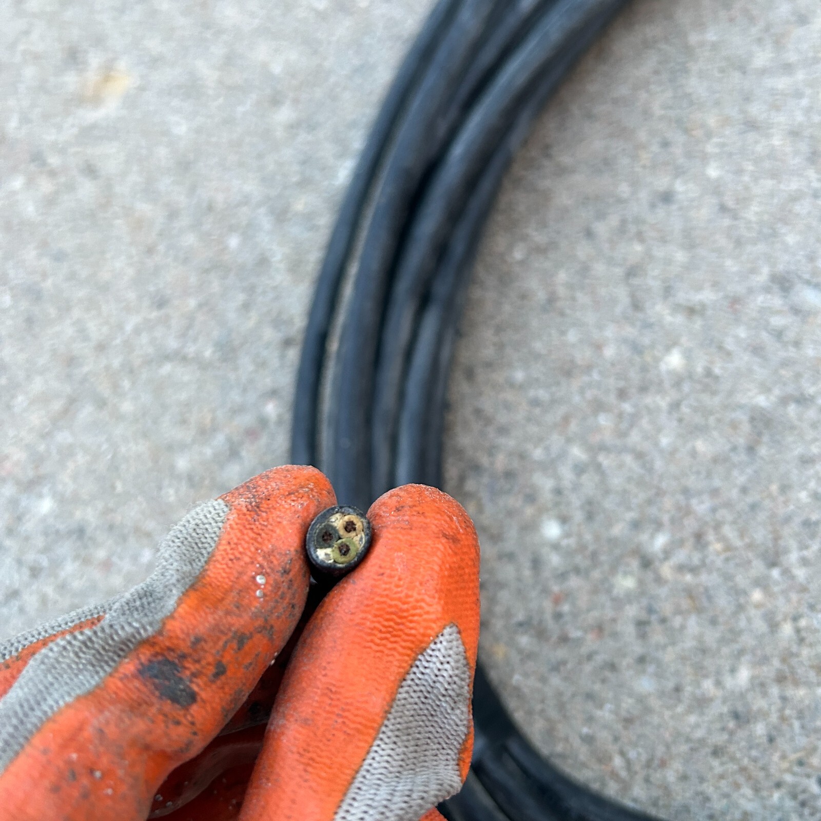 50FT CAROL SJOOW Cord 16/3 300V UL/CSA Portable Power Cable FT-2 P-7K-123033