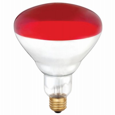 Heat Lamp, Flood Beam, Dimmable, R40, Red, 250-Watts – 0394848